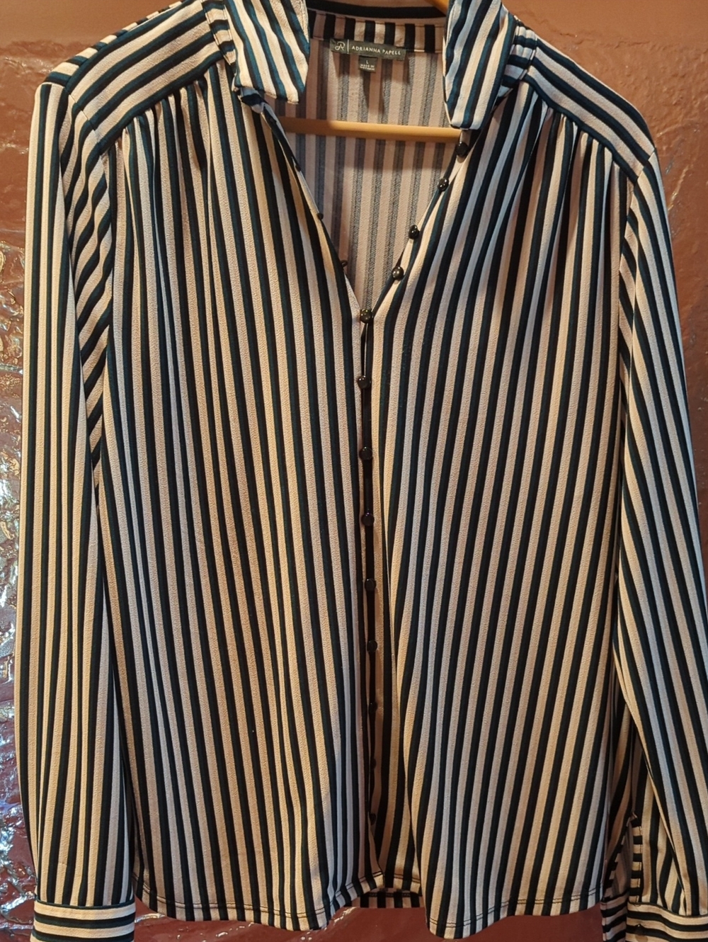 Striped Button-Up Blouse
